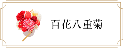 百花八重菊 